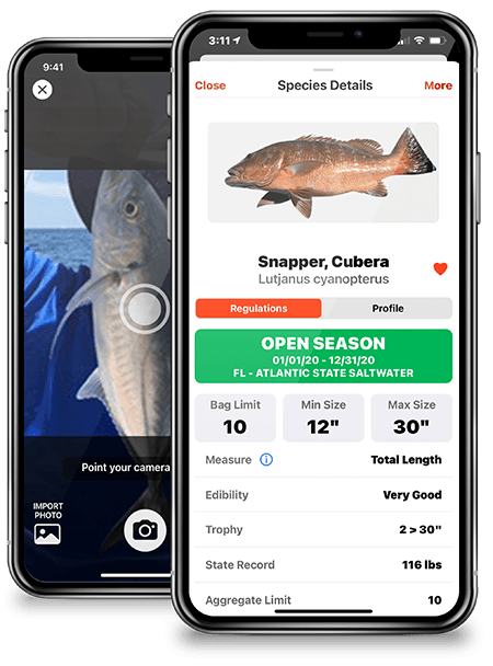 FishVerify – Species Identification & Local Fishing Regulations