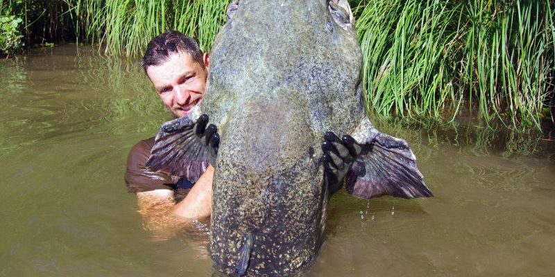 Noodling: The Unusual Art of Hand Fishing in the U.S.